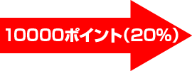 10000ポイント