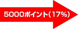 5000ポイント